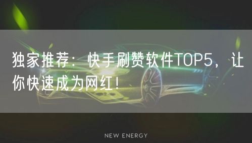 独家推荐：快手刷赞软件TOP5，让你快速成为网红！