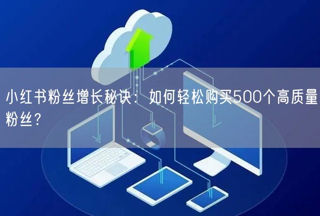 小红书粉丝增长秘诀：如何轻松购买500个高质量粉丝？