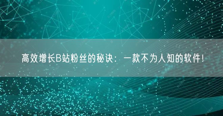 高效增长B站粉丝的秘诀：一款不为人知的软件！