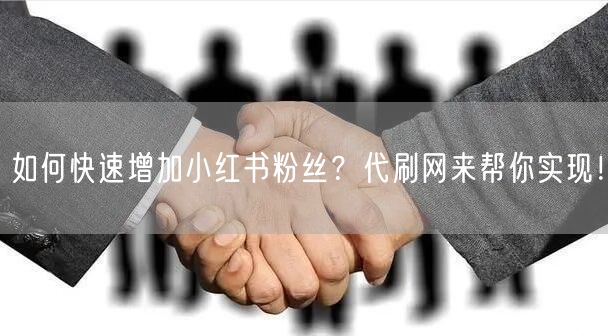 如何快速增加小红书粉丝？代刷网来帮你实现！