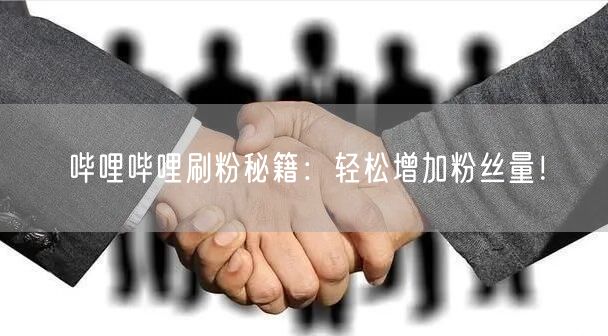 哔哩哔哩刷粉秘籍：轻松增加粉丝量！