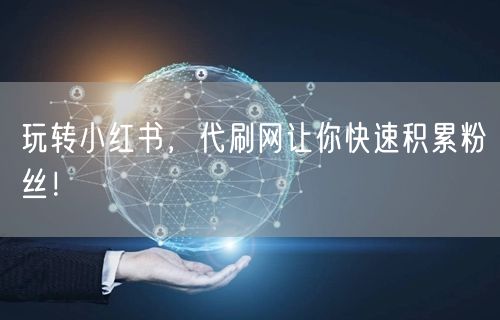 玩转小红书，代刷网让你快速积累粉丝！