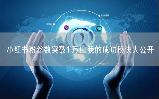 小红书粉丝数突破1万！我的成功秘诀大公开