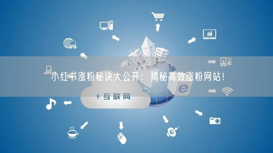 小红书涨粉秘诀大公开：揭秘高效涨粉网站！