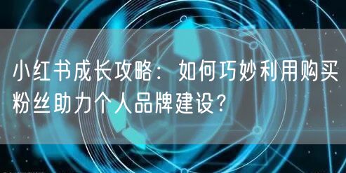 小红书成长攻略：如何巧妙利用购买粉丝助力个人品牌建设？