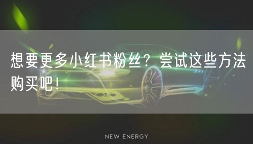 想要更多小红书粉丝？尝试这些方法购买吧！