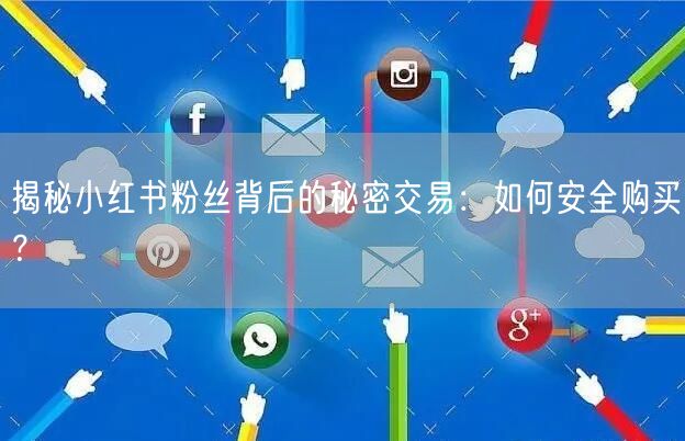 揭秘小红书粉丝背后的秘密交易：如何安全购买？