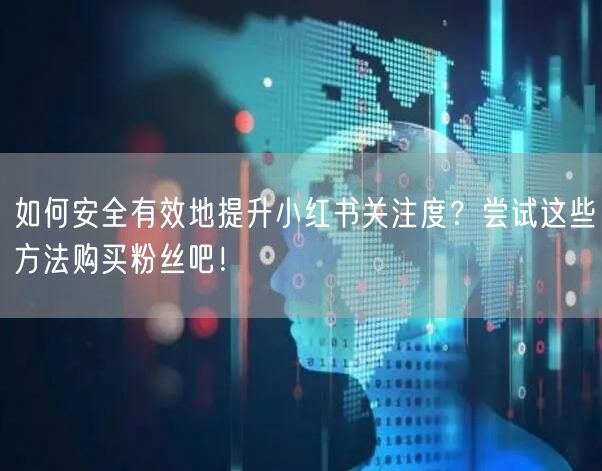 如何安全有效地提升小红书关注度？尝试这些方法购买粉丝吧！