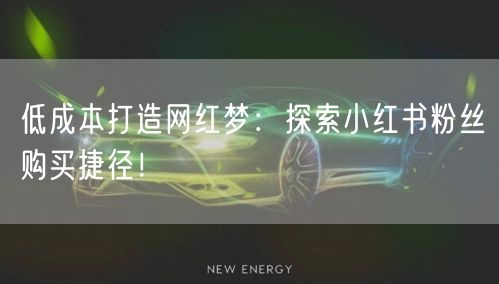 低成本打造网红梦：探索小红书粉丝购买捷径！