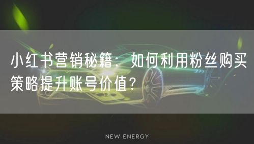 小红书营销秘籍：如何利用粉丝购买策略提升账号价值？