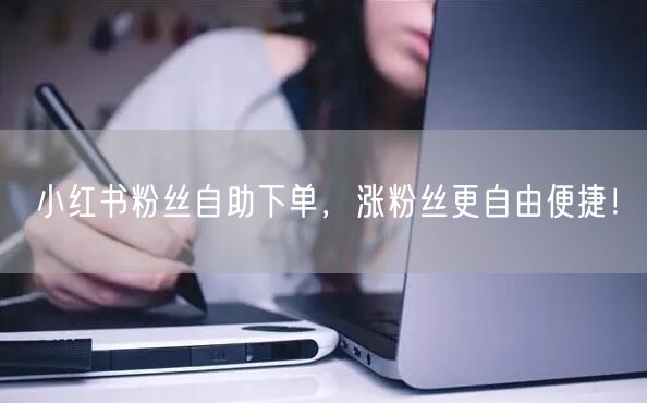 小红书粉丝自助下单，涨粉丝更自由便捷！