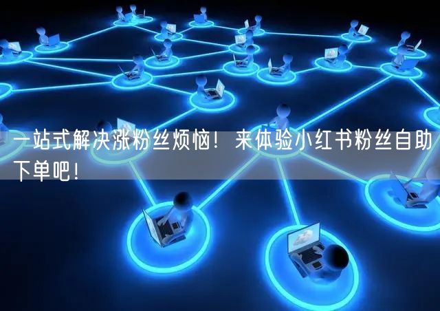 一站式解决涨粉丝烦恼！来体验小红书粉丝自助下单吧！