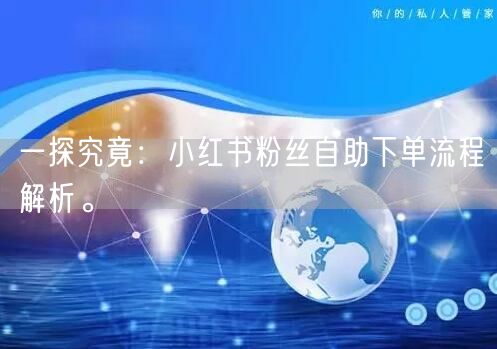 一探究竟：小红书粉丝自助下单流程解析。