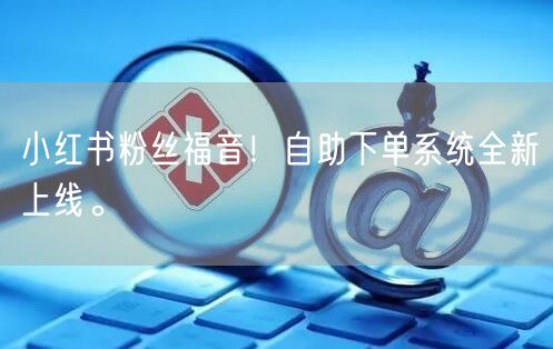 小红书粉丝福音！自助下单系统全新上线。