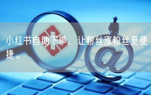 小红书自助下单，让粉丝涨粉丝更便捷。