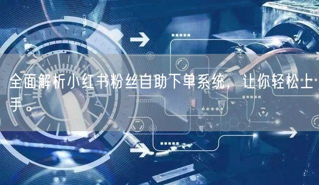 全面解析小红书粉丝自助下单系统，让你轻松上手。