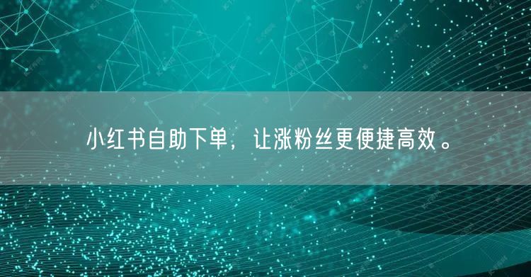 小红书自助下单，让涨粉丝更便捷高效。