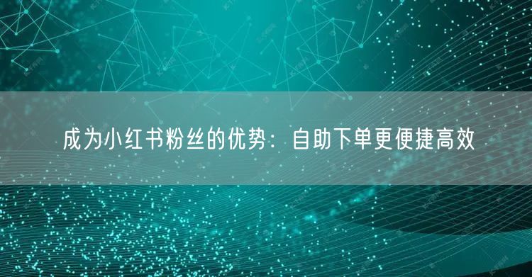 成为小红书粉丝的优势：自助下单更便捷高效