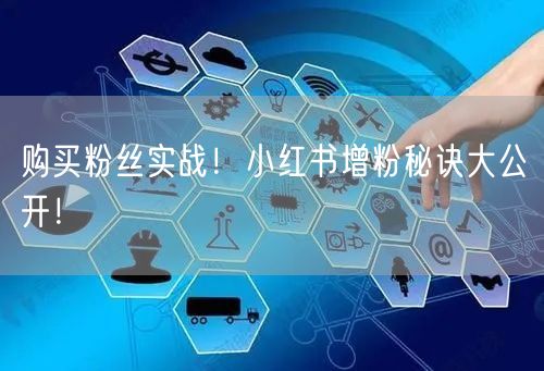 购买粉丝实战！小红书增粉秘诀大公开！