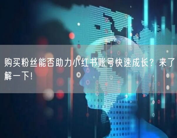 购买粉丝能否助力小红书账号快速成长？来了解一下！