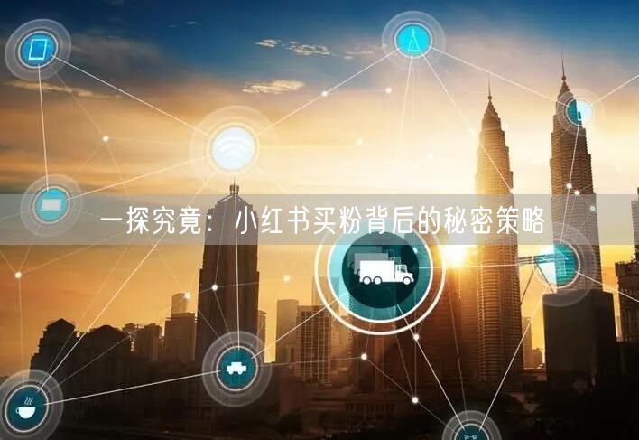 一探究竟：小红书买粉背后的秘密策略