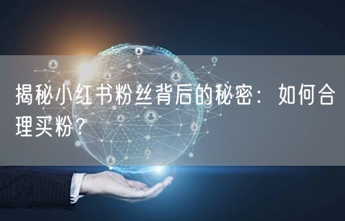 揭秘小红书粉丝背后的秘密：如何合理买粉？