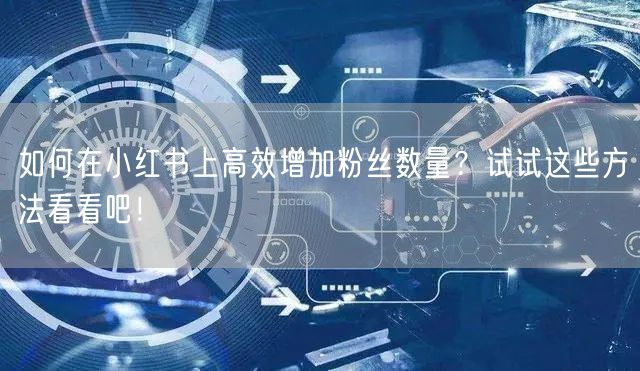 如何在小红书上高效增加粉丝数量？试试这些方法看看吧！