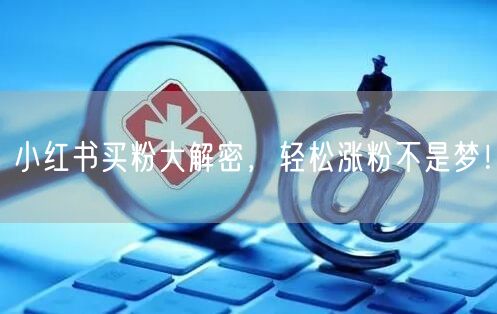 小红书买粉大解密，轻松涨粉不是梦！