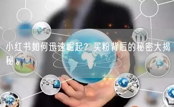 小红书如何迅速崛起？买粉背后的秘密大揭秘。