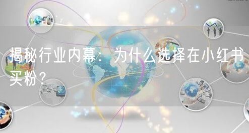 揭秘行业内幕：为什么选择在小红书买粉？