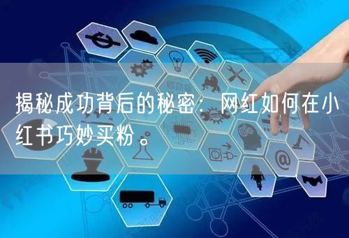 揭秘成功背后的秘密：网红如何在小红书巧妙买粉。