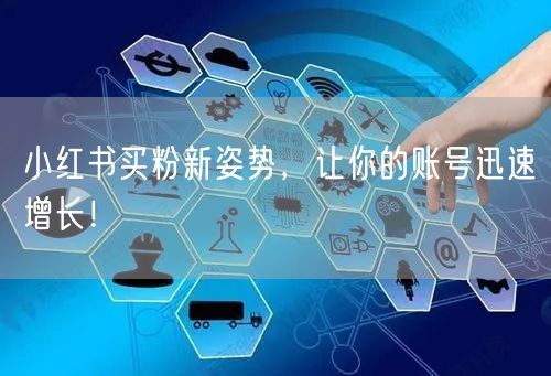 小红书买粉新姿势，让你的账号迅速增长！
