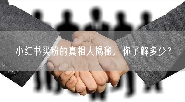小红书买粉的真相大揭秘，你了解多少？