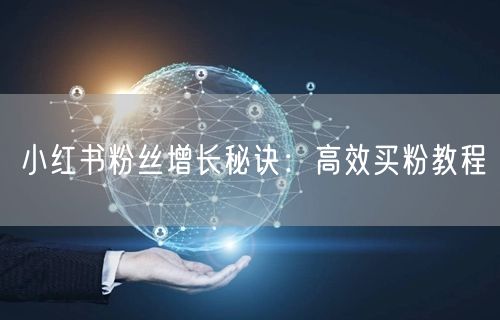 小红书粉丝增长秘诀：高效买粉教程