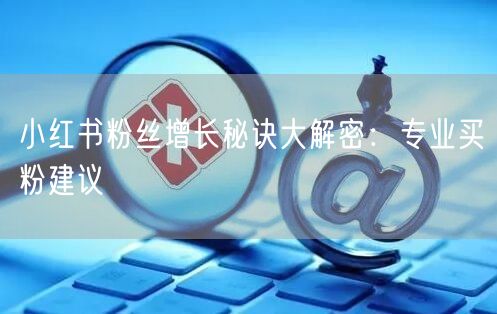 小红书粉丝增长秘诀大解密：专业买粉建议