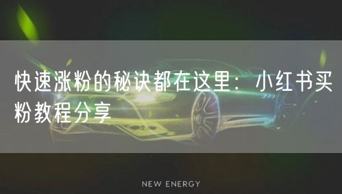 快速涨粉的秘诀都在这里：小红书买粉教程分享