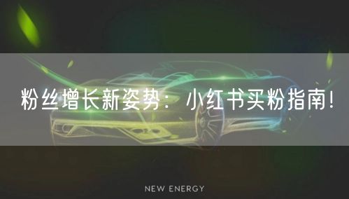 粉丝增长新姿势：小红书买粉指南！