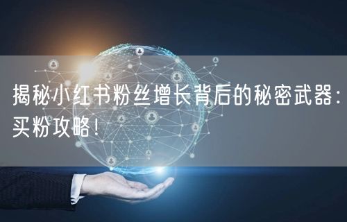 揭秘小红书粉丝增长背后的秘密武器：买粉攻略！