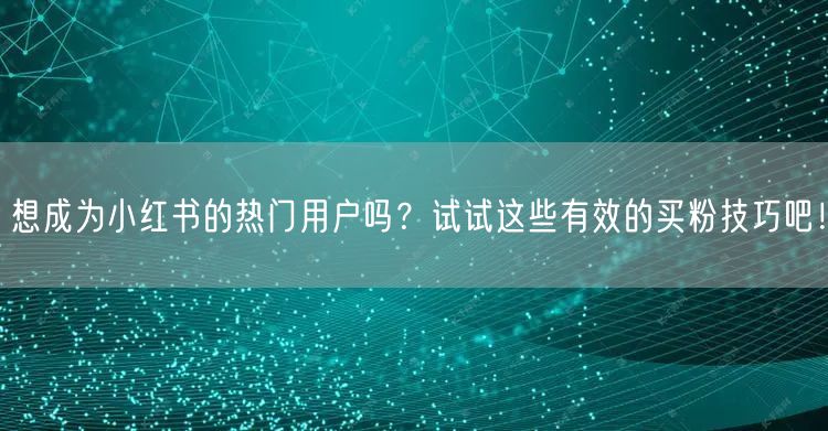 想成为小红书的热门用户吗？试试这些有效的买粉技巧吧！