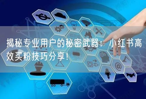 揭秘专业用户的秘密武器：小红书高效买粉技巧分享！