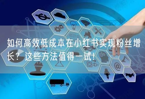 如何高效低成本在小红书实现粉丝增长？这些方法值得一试！