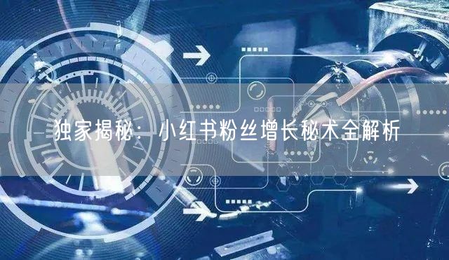 独家揭秘：小红书粉丝增长秘术全解析