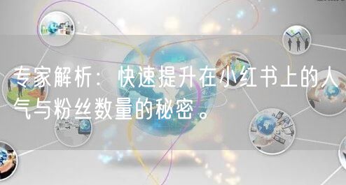 专家解析：快速提升在小红书上的人气与粉丝数量的秘密。
