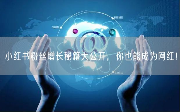 小红书粉丝增长秘籍大公开，你也能成为网红！
