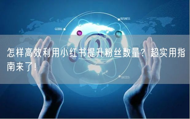 怎样高效利用小红书提升粉丝数量？超实用指南来了！