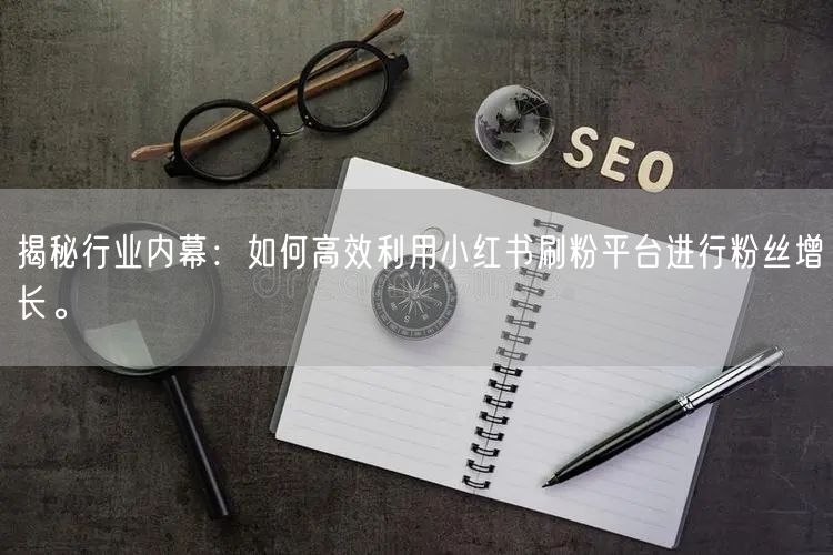 揭秘行业内幕：如何高效利用小红书刷粉平台进行粉丝增长。