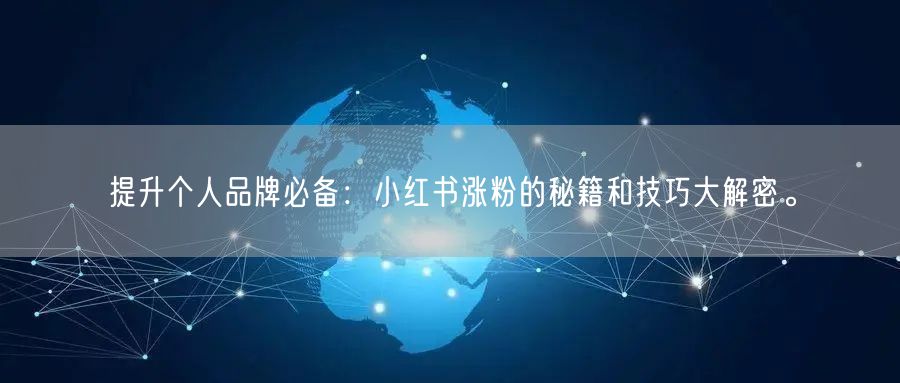提升个人品牌必备：小红书涨粉的秘籍和技巧大解密。
