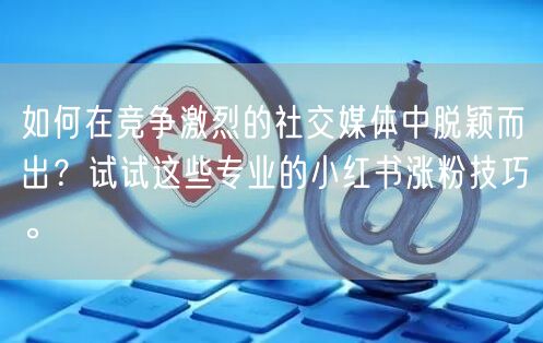 如何在竞争激烈的社交媒体中脱颖而出？试试这些专业的小红书涨粉技巧。