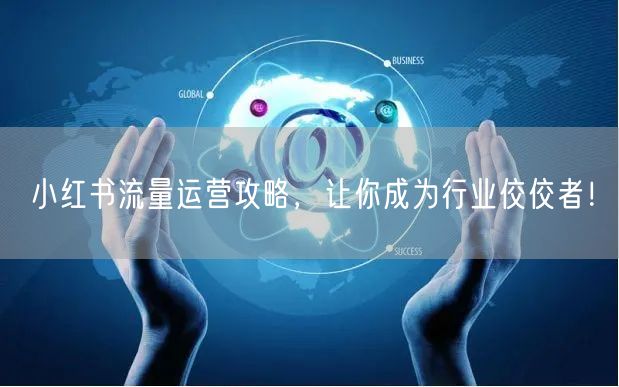 小红书流量运营攻略，让你成为行业佼佼者！