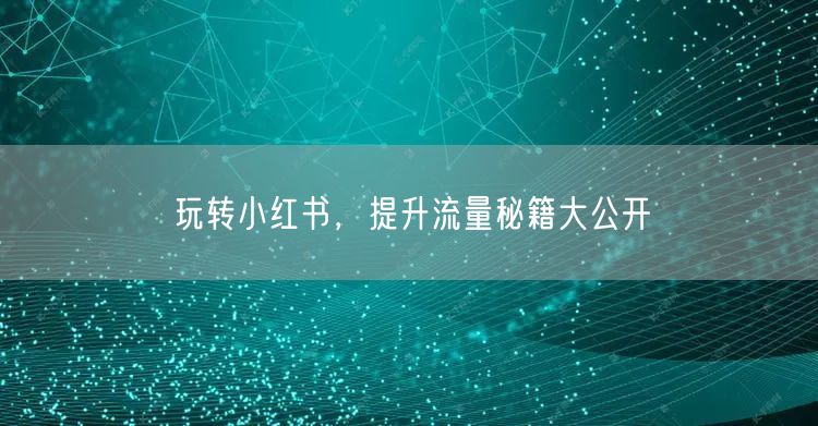 玩转小红书，提升流量秘籍大公开